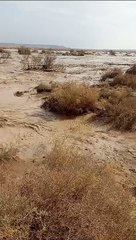 المغرب تافيلالت الرشيدية وادي غريس يعود من جديد