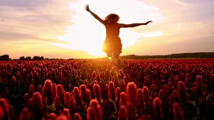 Enjoy the sound of longing for hope (Dream Mix) - Chaoskasi