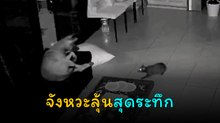 ลุ้นกันระทึก เมื่อหมากับแมวเจอกันกลางดึก..