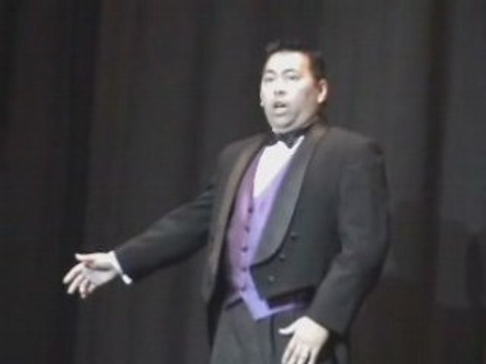 Nessunsat041208