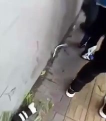 Video: ¡Por una foto! Un fotógrafo fue atropellado en la avenida Beijing de China