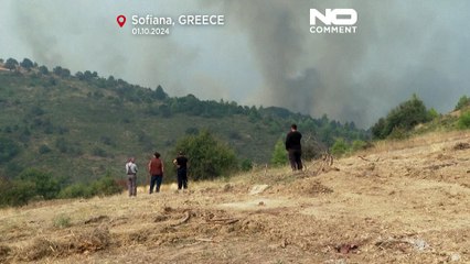 Griechenland: Große Waldbrände auf Halbinsel Peloponnes nicht unter Kontrolle