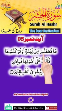Al-Quran - Surah 59 - Al-Hashr - Ayah 5 | islamic videos status | tilawat | hafiz salman ali