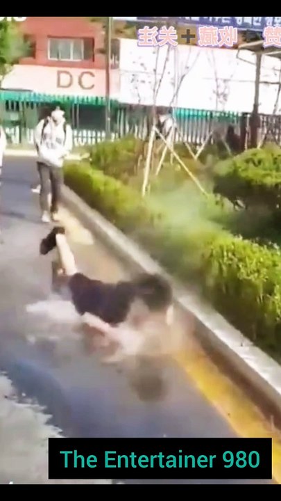 Funny Comedy Prank Video Collection