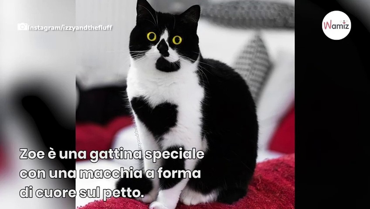 Zoe ha una particolarità fisica unica: le foto non sono ritoccate con Photoshop!