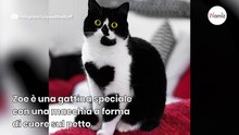 Zoe ha una particolarità fisica unica: le foto non sono ritoccate con Photoshop!