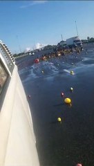 VIDEO: Reboque vira em praça de pedágio na Região Metropolitana; mercadoria ficou espalhada na via