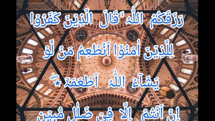 Surah Yaseen | Arabic verse translation | Eglish translation | Islamic content