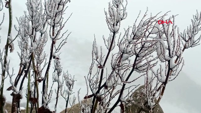 Rize’nin Çamlıhemşin ilçesinde ilk kar yağışı yaylaları beyaza bürüdü