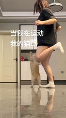 "Pets vs. Everyday Objects: Comedy Ensues!"