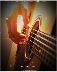 feel the music _ Instrumental ringtone music _ whatsapp status