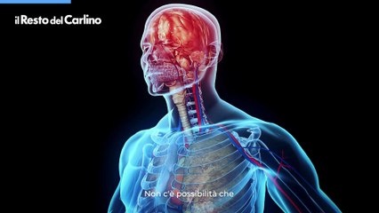 Dengue, la malattia spiegata dal professor Pierluigi Viale