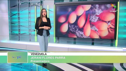 Inseminación  In Vitro ¿Una Ciencia al Alcance de Todos?