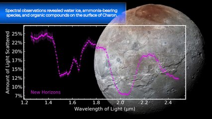 Download Video: El telescopio James Webb revela nuevos detalles de Caronte, la mayor luna de Plutón