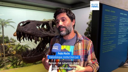 Une nouvelle espèce de dinosaure découverte en Espagne