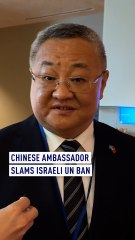 Chinese ambassador slams Israeli UN ban
