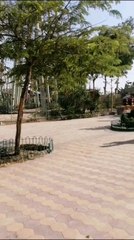 First time riding a horse