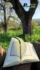 Jab Mushrik Nabi SAW aur Unke Sahaba Karam Doston Se Hatha Payi Ki