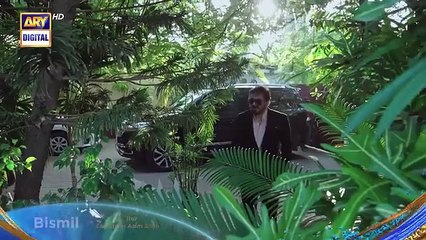 Bismill Drama Ary Digital | Entertainment & Vlogs