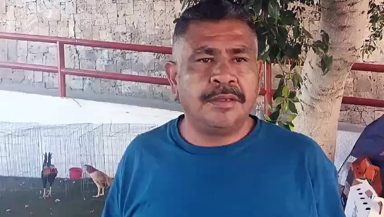 Enrique Ung, integrante del gremio de galleros
