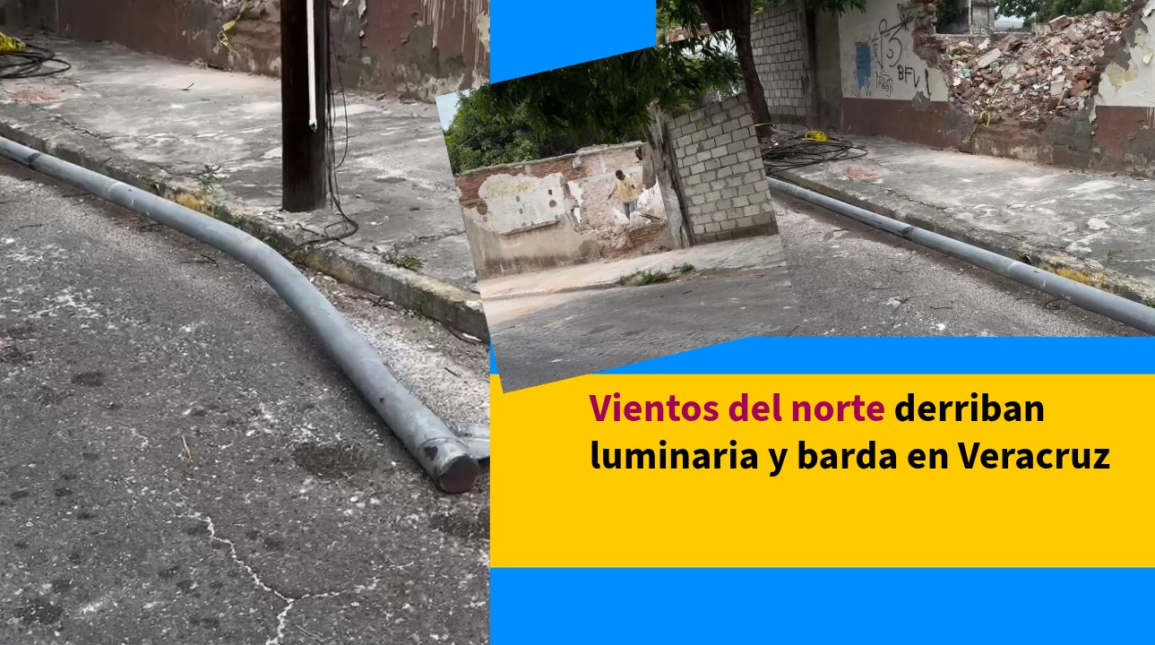 Vientos del norte derriban luminaria y barda en Veracruz