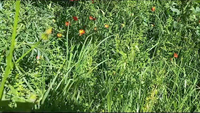 المغرب مكناس الحاجب اكوراي الطبيعية في البادية