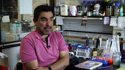La ciencia argentina "en el límite del colapso" por los recortes de fondos de Milei