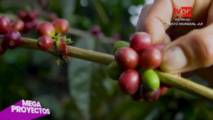 Visita al esperado proyecto del Megapuerto de Chancay