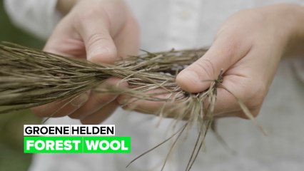 Groene Helden: Forest Wool