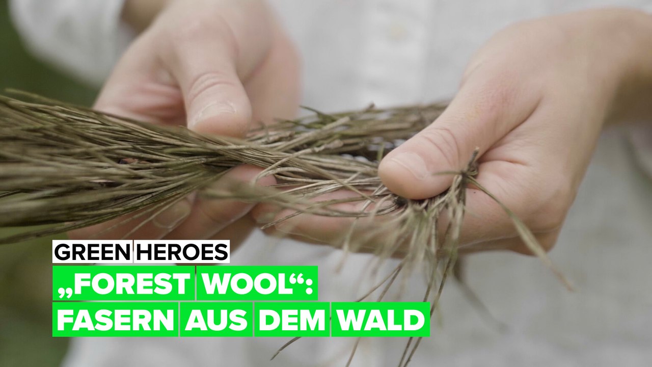 Grüne Helden - Forest Wool