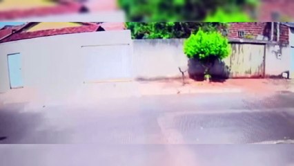 Cavalo desgovernado derruba portão de casa em Goiânia