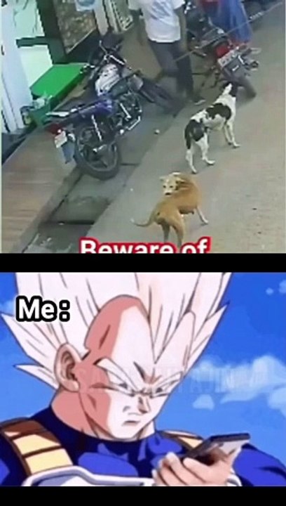 Junte-se a mim o Herdeiro do trono Saiyajin na busca pela grandeza_ Kakarotto pode ter os seus fãs_ mas o verdadeiro poder reside aqui__⚡️ _risadasaiyajin _._._.__meme _memepage _dragonball _anime(MP4)