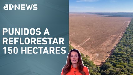 Justiça condena três pessoas por desmatar Amazônia; Patrícia Costa analisa