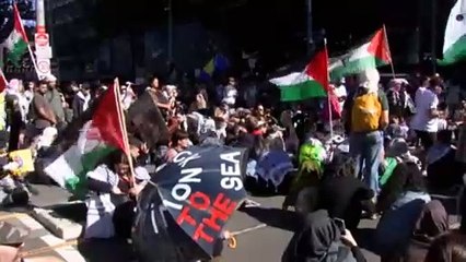 NSW court to hear police bid to ban pro-Palestinian protests on October 7