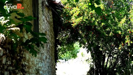 Anadolu'nun gladyatör diyarı: Stratonikeia