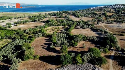 Sanatçılar ve yazıtlar kenti Teos...