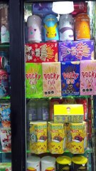 Chinese Import Store in Santiago, Chile