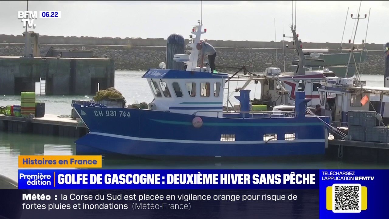 Les bateaux de pêche de plus de huit mètres interdits dans le golfe de Gascogne pour protéger les dauphins pendant un mois cet hiver