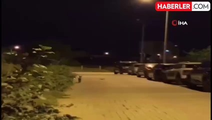 Tekirdağ'da Şehir Merkezinde Dolaşan Tilki Şaşkınlık Yarattı