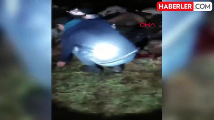 Bingöl'de Yıldırım Düşmesi Sonucu 30 Koyun Öldü