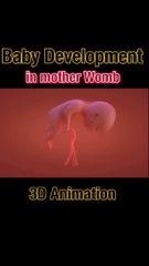 Baby Development in womb|Growing Inside#viral#shorts#shortsfeeds#drsadia1446