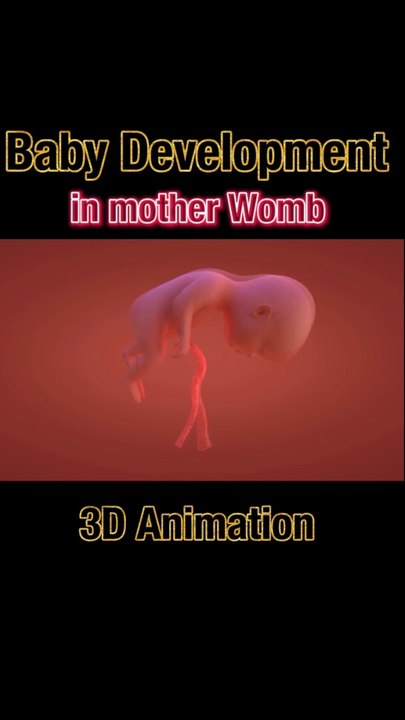 Baby Development in womb|Growing Inside#viral#shorts#shortsfeeds#drsadia1446