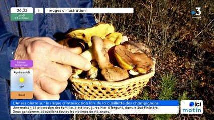 03/10/2024 - ICI Matin France Bleu Breizh Izel en vidéo