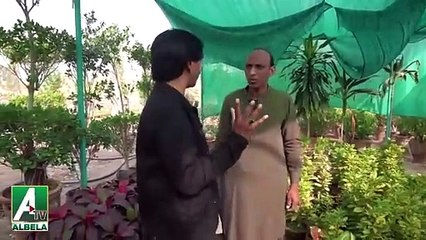 Goga Pasroori flower seller and Saleem Albela customer  parts 2
