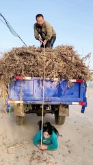 funny  short  video link bio