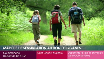 Agenda des Sorties du 4 au 6 octobre 2024