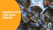Haiwan Eksotik Yang Halal Dimakan