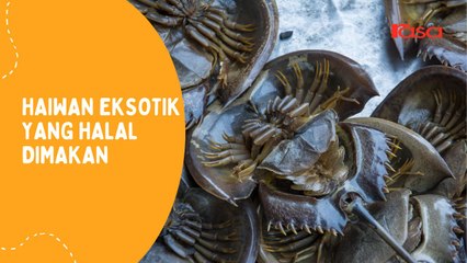 Haiwan Eksotik Yang Halal Dimakan