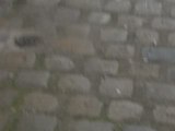 Rue du port