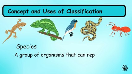 Chapter 1.  Characteristics & Classification of Living Organisms IGCSE Paper Biology 0610